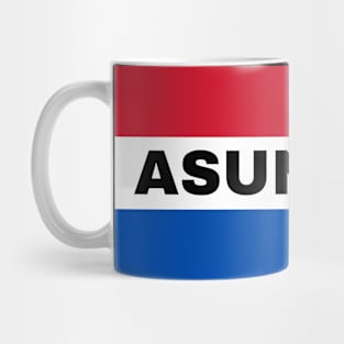 Asunción City in Paraguay Flag Colors Mug